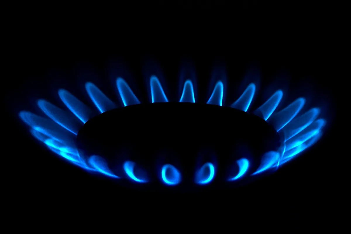 Corona de llamas azules de un quemador de gas encendido, señal de una combustión correcta
