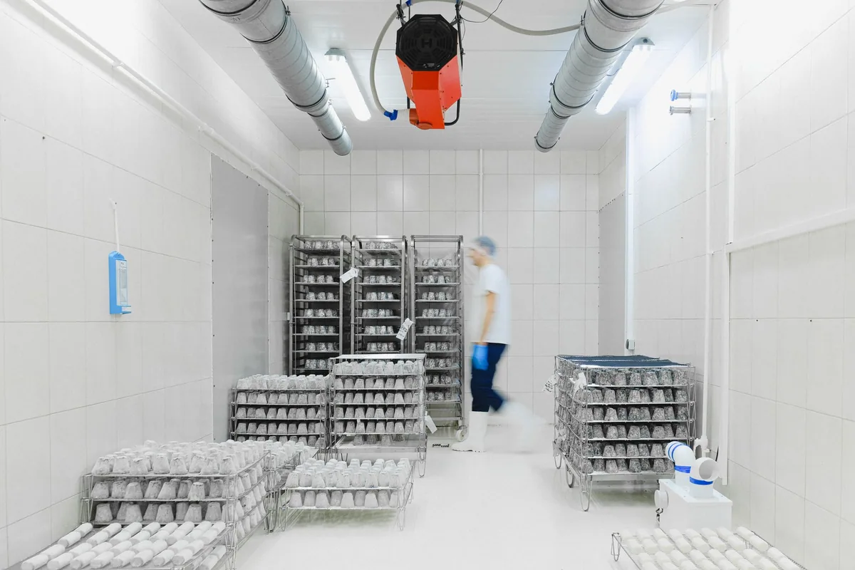 Interior de una cámara frigorífica de panel blanco con carros de acero llenos de producto