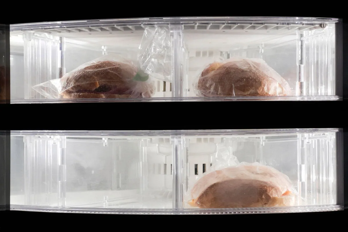 Dos cajones transparentes de la parte baja de un frigorífico, vistos de frente