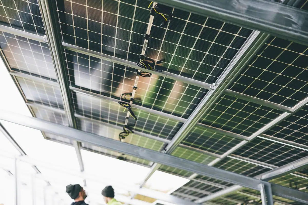 Cableado y conectores bajo una estructura de placas solares, vistos desde abajo