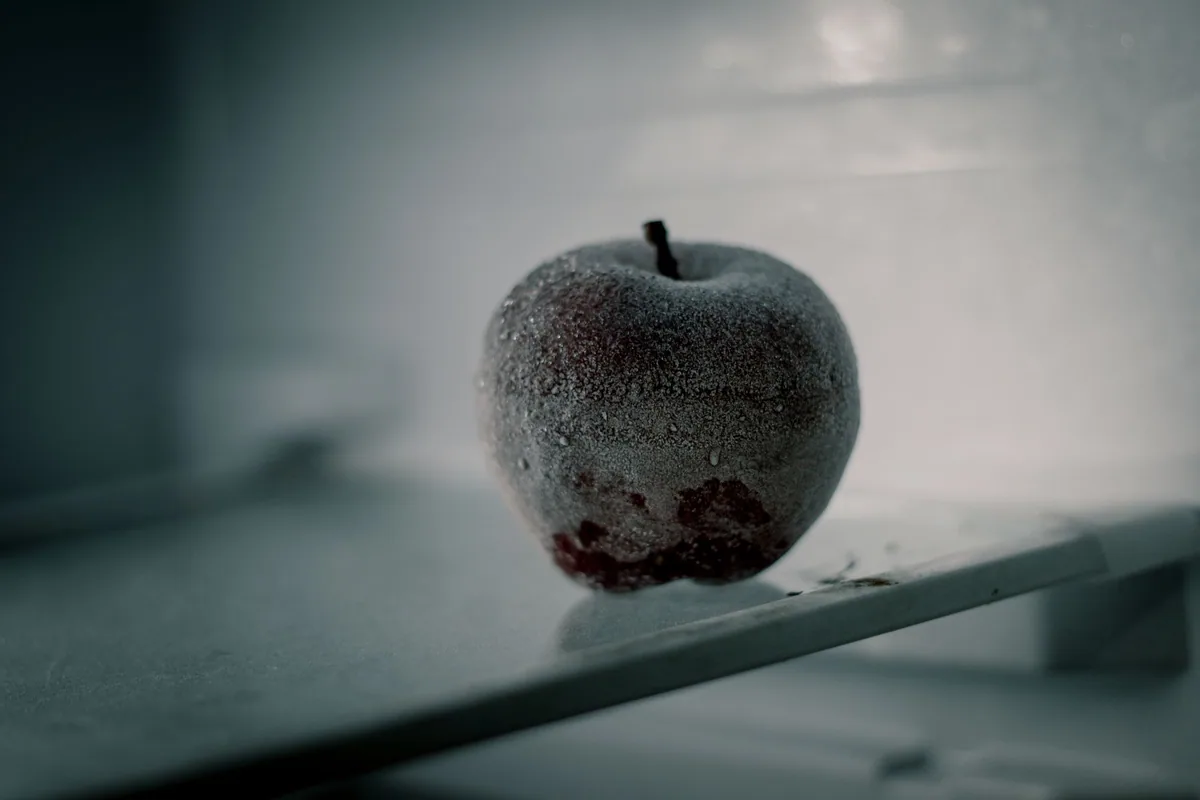 Manzana cubierta de escarcha sobre la balda de un frigorífico que enfría de más, una avería que revisa el técnico de neveras